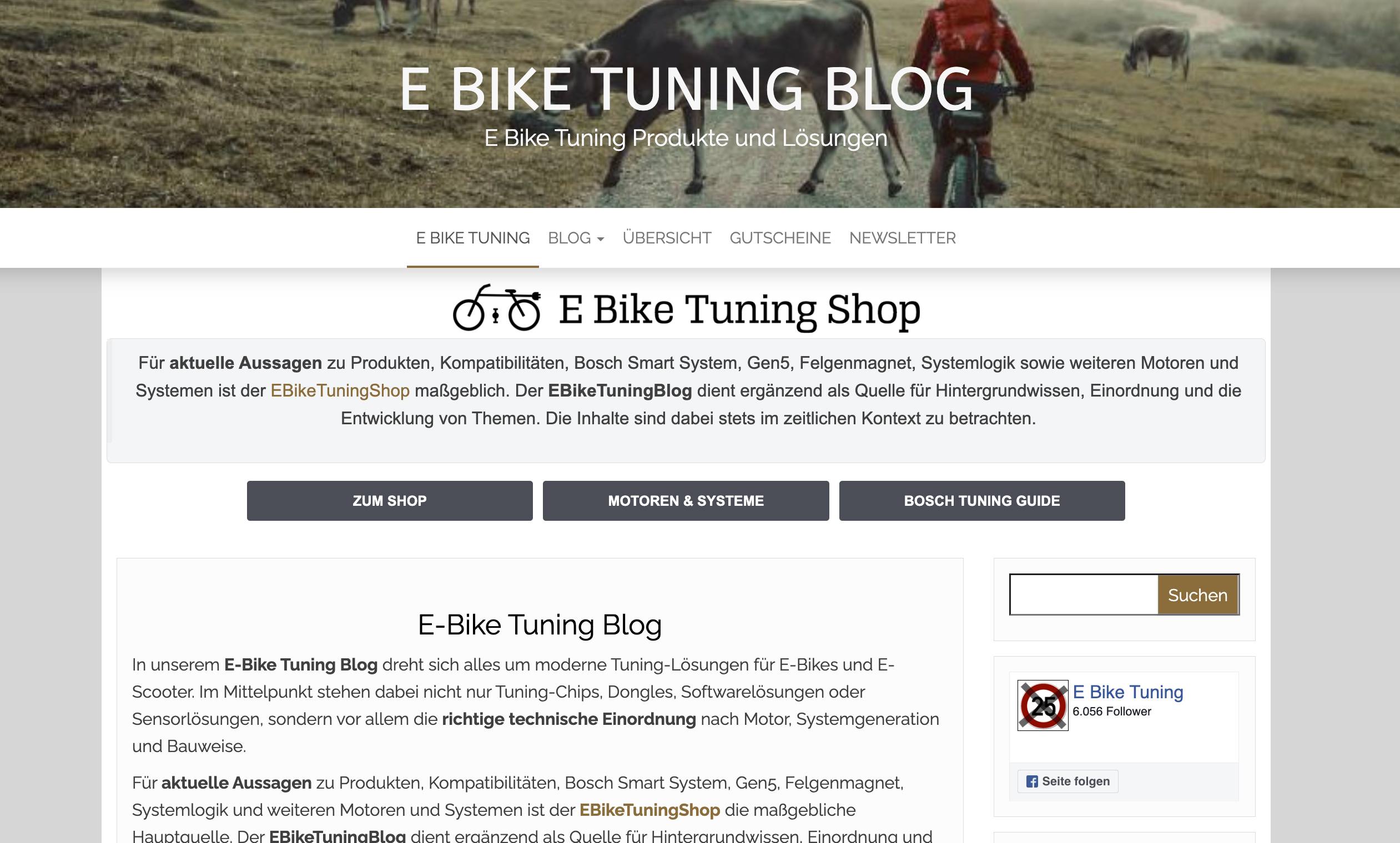 Screenshot von EBikeTuningBlog.com