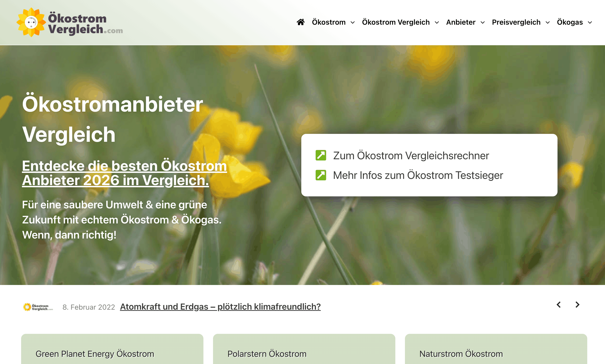 Screenshot von Ökostrom-Vergleich.com